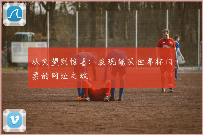从失望到惊喜：发现能买世界杯门票的网址之旅