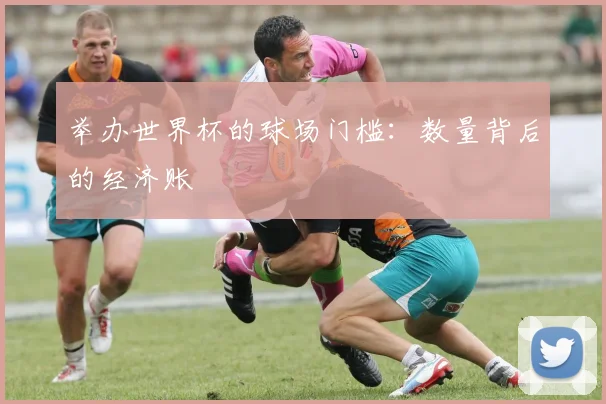 举办世界杯的球场门槛：数量背后的经济账